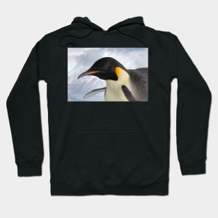 Adult emperor penguin Hoodie